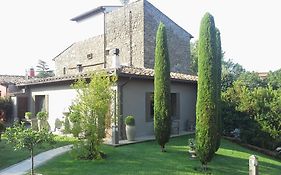 Teodorico Re Viterbo