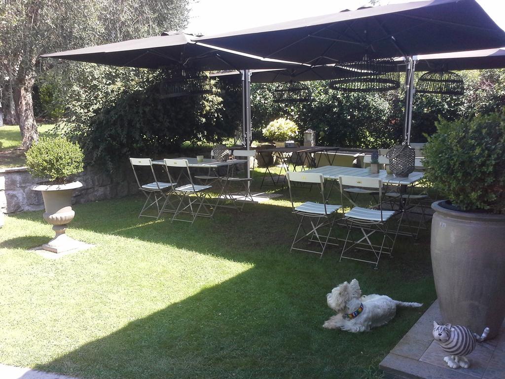 Residenza Teodorico Re B&B Viterbo Esterno foto