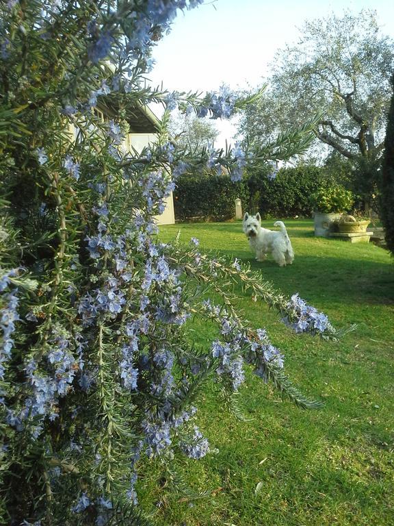 Residenza Teodorico Re B&B Viterbo Esterno foto
