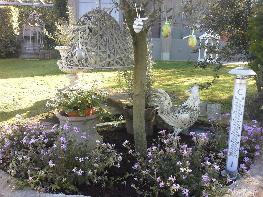 Residenza Teodorico Re B&B Viterbo Esterno foto