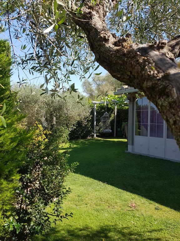 Residenza Teodorico Re B&B Viterbo Esterno foto