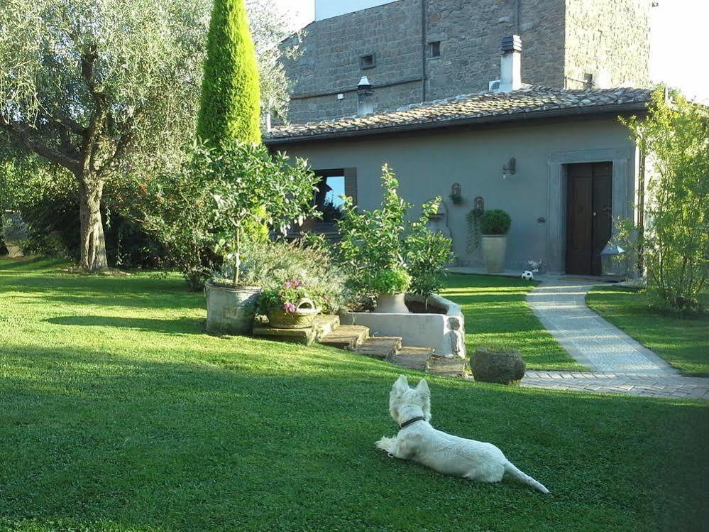 Residenza Teodorico Re B&B Viterbo Esterno foto
